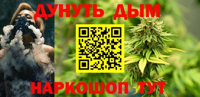сатива Лесосибирск