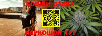 сатива Лесосибирск