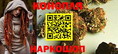 сатива Лесосибирск