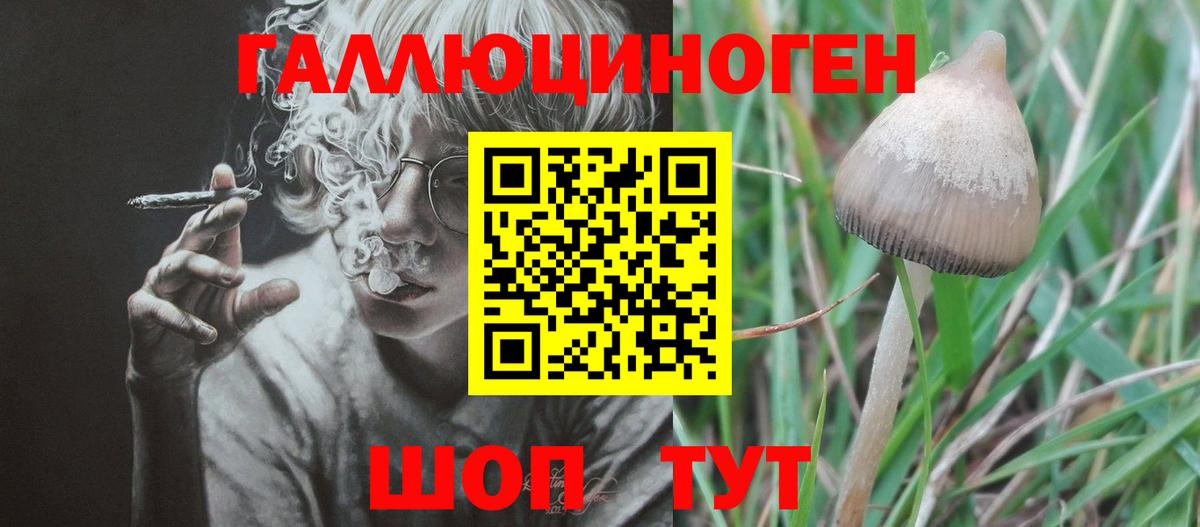 закладки  Галлюциногенные грибы мухоморы  Вход с VPN  Великие Луки 