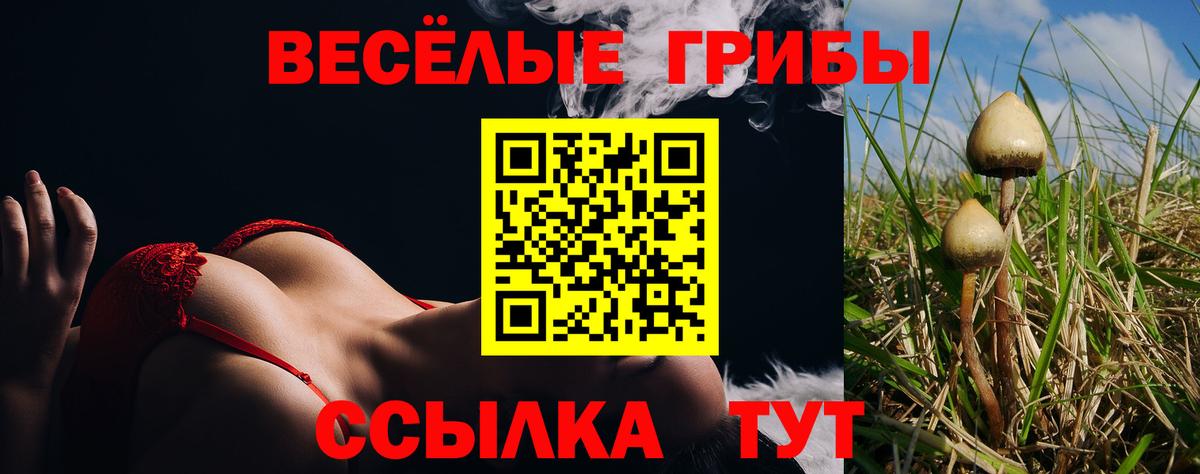 Галлюциногенные грибы ЛСД Великие Луки